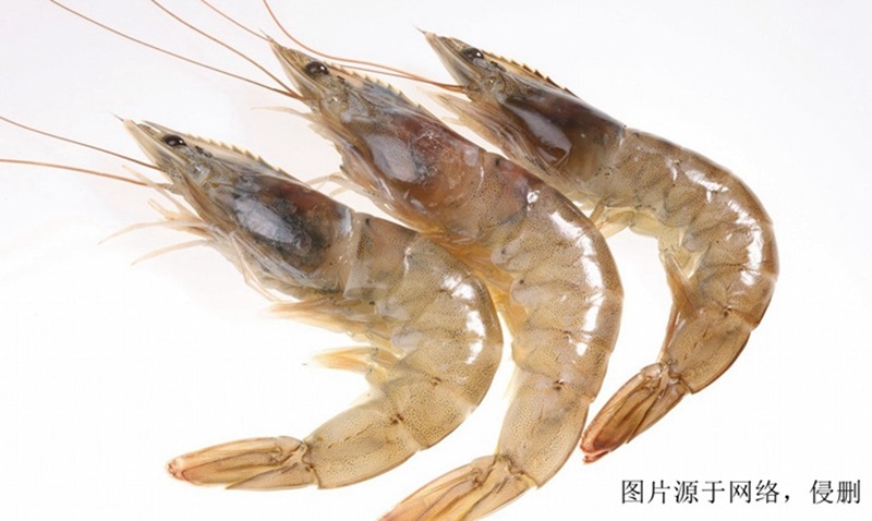 欽州進(jìn)口越南對蝦報關(guān)資料 欽州進(jìn)口越南對蝦報關(guān)資料