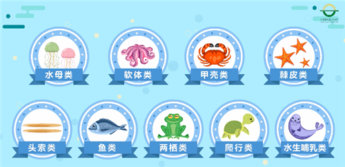 1572311861173281.png 冷凍水產(chǎn)品進(jìn)口報(bào)關(guān)