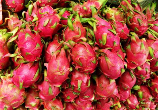 1584063029186450.jpg 越南火龍果進口報關(guān)清關(guān)