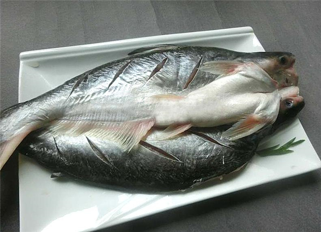 1591415335684666.jpg 冷凍巴沙魚進口報關(guān)