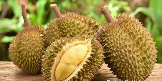 1593337673108622.png 馬來西亞進(jìn)口冷凍榴蓮報(bào)關(guān)