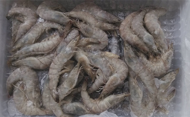 上海進口馬來西亞冷凍蝦報關所需費用有哪些 上海進口馬來西亞冷凍蝦報關