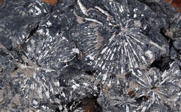 鎳礦石進(jìn)口清關(guān)所需資料以及注意事項 鎳礦石進(jìn)口清關(guān)