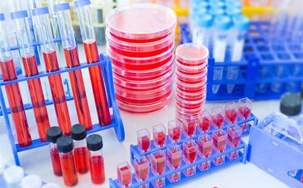 進口細胞清關需要哪些資料 進口細胞清關