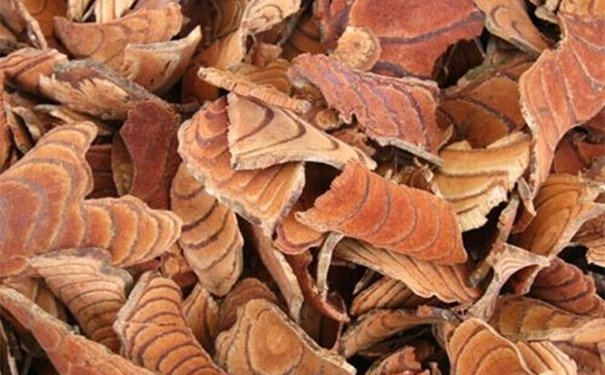 進口中藥雞血藤清關代理 【進口中藥雞血藤清關代理】的流程,一般貿易進口雞血藤