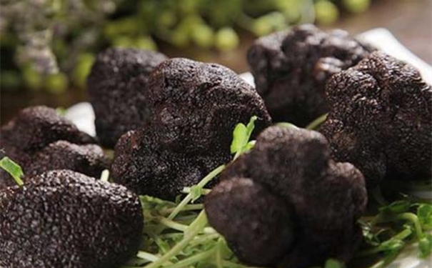 一般貿(mào)易進(jìn)口松露清關(guān)代理的流程 進(jìn)口松露清關(guān)代理