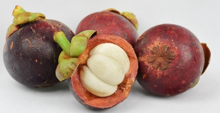 【馬來西亞山竹進(jìn)口清關(guān)代理公司】指導(dǎo)您如何進(jìn)口 馬來西亞山竹進(jìn)口清關(guān)代理公司