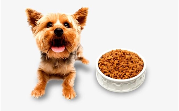 一篇搞懂美國進口寵物糧食清關代理一站式服務流程 美國進口寵物糧食清關代理