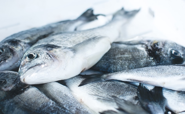 冷凍魚進口報關注意事項有這些,參考一下 冷凍魚進口報關