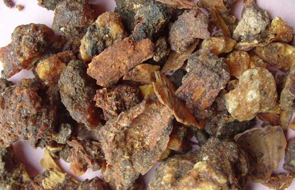 1624009666733965.jpg 沒(méi)藥進(jìn)口報(bào)關(guān)代理_副本.jpg