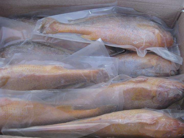 進口韓國海鮮報關(guān) 進口韓國海鮮報關(guān)