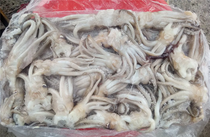 1651143644790410.png 冷凍魷魚進口報關_副本.png