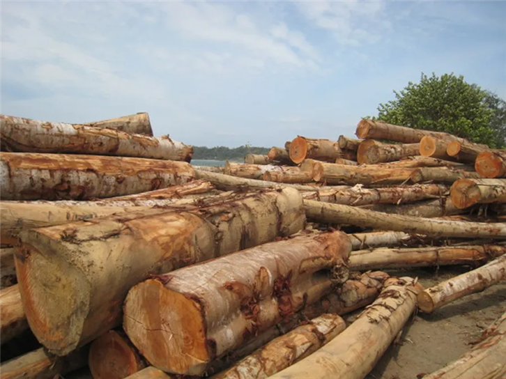 1652350423121512.png 連云港進(jìn)口木材報關(guān) (2).png