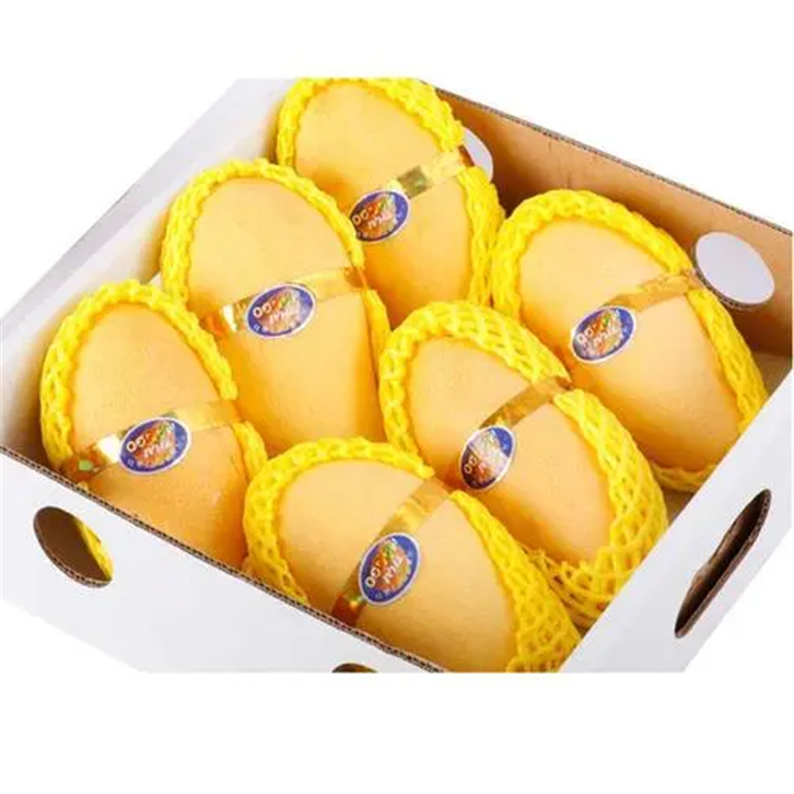 1655463558563923.png 進口巴基斯坦鮮芒果報關 (2).png