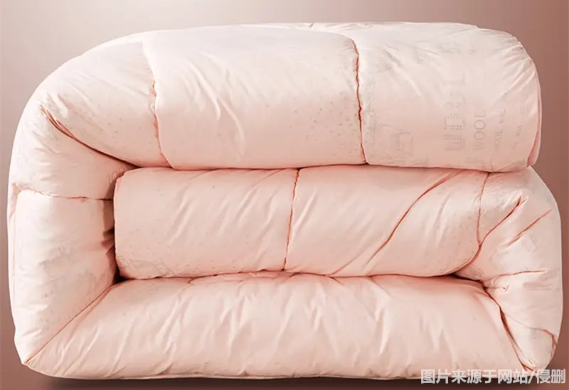 1670493795747600.jpg 澳洲進口羊毛被上海清關.jpg