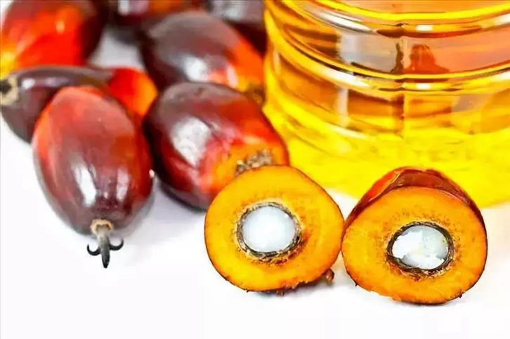 進口印尼棕櫚油報關代理 進口印尼棕櫚油報關代理