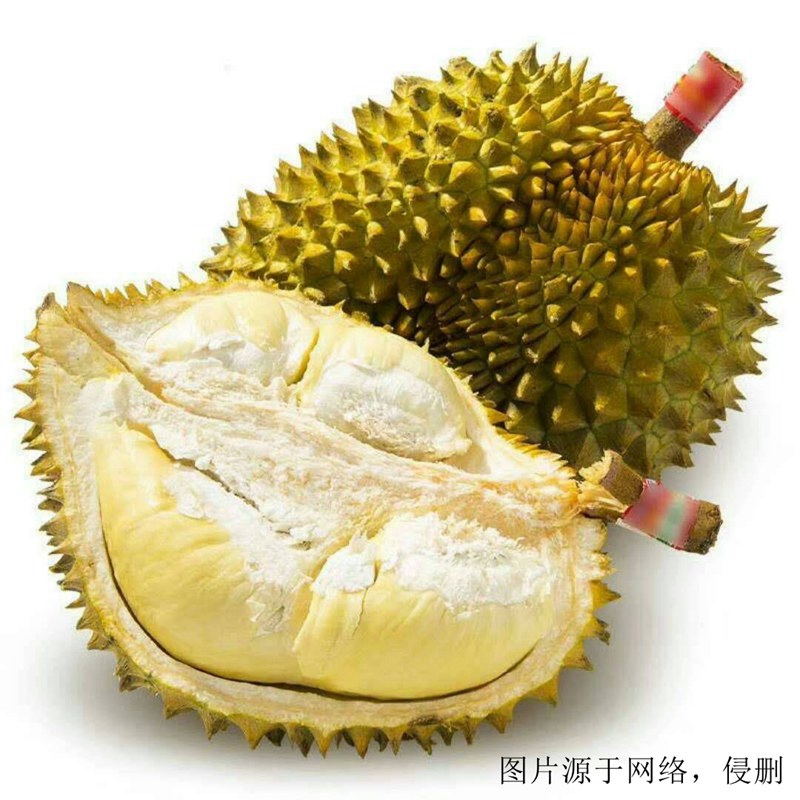 廣州進口越南榴蓮報關流程 廣州進口越南榴蓮報關流程